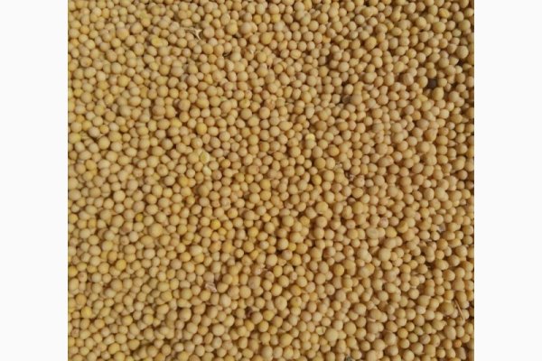 Клирнет ссылка на зеркало маркетплейс кракен