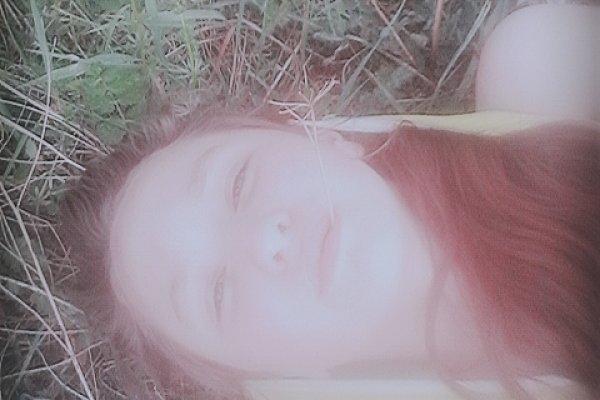 Кракен тор что это