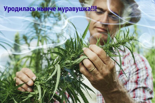 Kraken рабочий