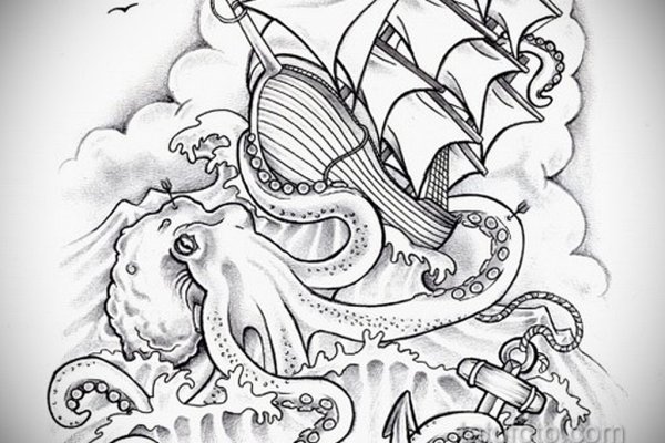 Kraken 12at