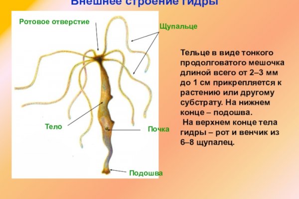 Кракен без впн