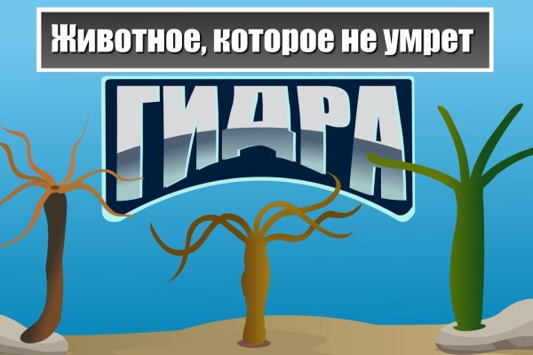 Кракен регистрация