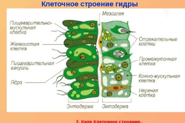 Кракен даркнет поддержка