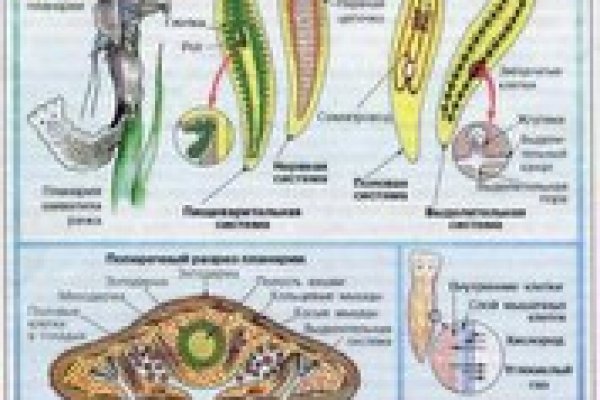 Ссылка на кракен онион