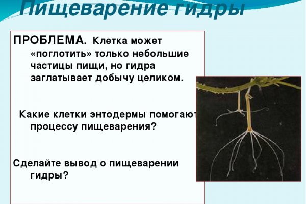 Кракен найти сайт