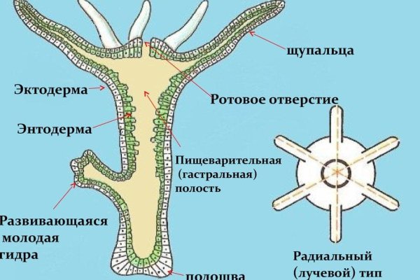 Кракен наркологический