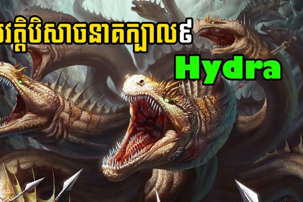 Kraken официальное зеркало kraken dark link