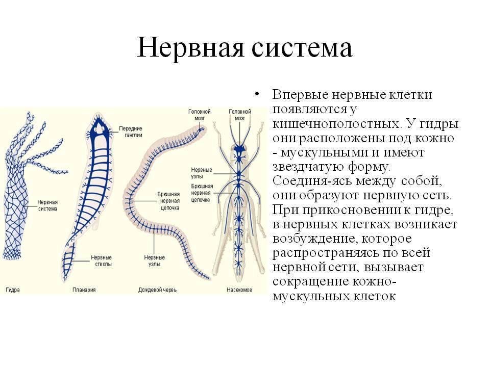 Как восстановить пароль на кракене