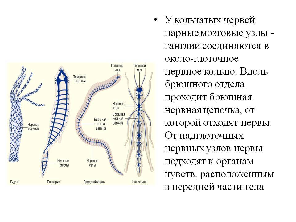 Кракен современный даркнет