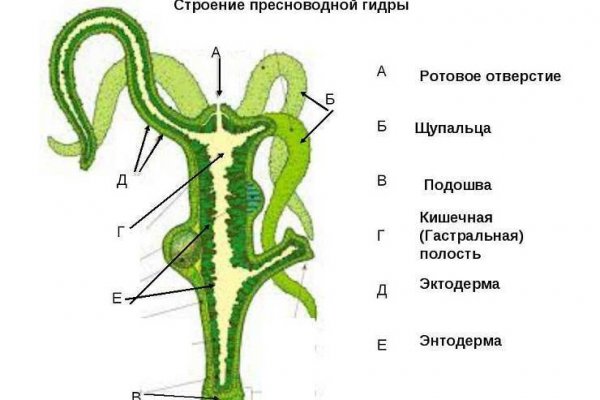 Кракен дарк ссылка