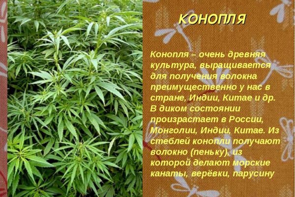 Кракен купить порошок
